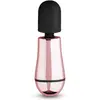 Rosy Gold - Nouveau Mini Massager