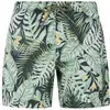 Protest Short De Bain Glory