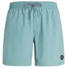 Protest FASTER Heren Strandshorts