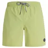Protest FASTER Heren Strandshorts