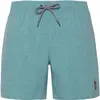 Protest Short De Bain Davey