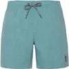 Protest Short De Bain Davey