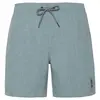 Protest Short De Bain Davey