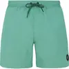 Protest Short De Bain Faster