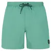 Protest Short De Bain Faster