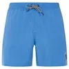 Protest Short De Bain Davey
