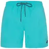 Protest Short De Bain Faster