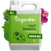 Leaf Insects Bladinsecten Concentraat (5L, 5000m2) - Bladluis Bestrijd...