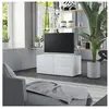 vidaXL Meuble TV Blanc 80x34x36 cm Bois d'ingénierie