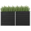 vidaXL Lit surélevé de jardin Anthracite 160x40x77 cm Acier galvanisé