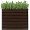 vidaXL Lit surélevé de jardin Marron 100x40x77 cm Acier galvanisé