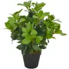 vidaXL Plante artificielle avec pot Laurier Vert 40 cm