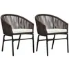 vidaXL Vidaxl Chaises De Jardin 2 Pcs Marron Rotin Pvc
