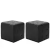 vidaXL Poufs 2 pcs Noir 30 x 30 x 30 cm Similicuir