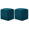 vidaXL 2 pcs Poufs Bleu 30 x 30 x 30 cm Tissu velours