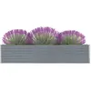 vidaXL Lit surélevé de jardin Acier galvanisé 320x40x45 cm Gris