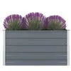 vidaXL Jardinière 100 x 100 x 45 cm Acier galvanisé Gris