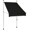 vidaXL Auvent manuel rétractable 100 cm Anthracite