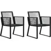 vidaXL Chaises de jardin 2 pcs Noir Rotin PVC