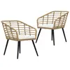 vidaXL Chaises de jardin 2 pcs avec coussins Résine tressée Chêne