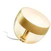 Philips Hue Iris White and Color Special Edition Or