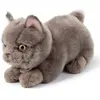 Peluche Freddy le Brittish Shorthair (20 cm)