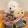 Petite peluche (< 20 cm)