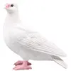 FARMWOOD ANIMALS Pigeon Blanc En Résine 19 X 20 X 11 Cm