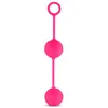 EasyToys - Geisha Collection Canon Balls Vaginaballetjes Met Contragewicht - Roze