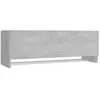 vidaXL Vidaxl Garde-Robe Gris Béton 100x32,5x35 Cm Bois D'ingénierie