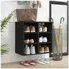 vidaXL Armoire à chaussures noir 52,5x30x50 cm