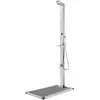 vidaXL Douche de jardin avec base gris 225 cm Acier inoxydable