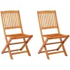 vidaXL Chaises de jardin pliables 2 pcs Bois d'eucalyptus massif