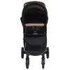 vidaXL Poussette pour bébé 2-en-1 Anthracite Acier