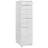 vidaXL Vidaxl Classeur Mobile Gris 28x41x109 Cm Métal