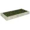 vidaXL Lit surélevé à gabion Acier galvanisé 200x100x20 cm