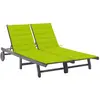 vidaXL Chaise longue de jardin 2 places avec coussin Gris Acacia