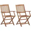 vidaXL Vidaxl Chaises Pliables D'extérieur Lot De 2 Bois D'acacia Solide