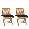 vidaXL Chaises de jardin 2 pcs avec coussins noir Bois de teck massif