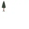 vidaXL Sapin de Noël mince avec bois véritable et cônes vert 210cm PVC