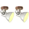 vidaXL Lampe murale industrielle/plafonnier 2 pcs Argenté 20x25 cm E27