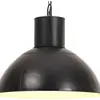 vidaXL Lampe suspendue 25 W Noir Rond 48 cm E27