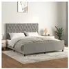 vidaXL Cadre de lit avec tête de lit Gris clair 160x200 cm Velours