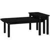 vidaXL Ensemble de tables basses 2 pcs Noir Bois massif de pin