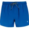 Puma Short De Bain 100000029