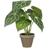 Mica Decorations Plante décorative Caladium Ø 21 x 28 cm artificielle