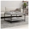 vidaXL Table basse sonoma gris 80x80x45 cm bois d'ingénierie et fer