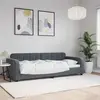 Lit de repos gris foncé 80x200 cm velours vidaXL