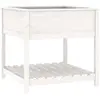 vidaXL Jardinière avec étagère Blanc 82,5x82,5x81cm Bois massif de pin