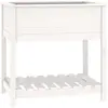 vidaXL Jardinière avec étagère Blanc 82,5x54x81 cm Bois massif de pin